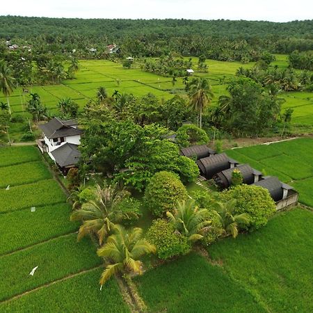 Gino'S Place - Guest House & Jungle Trekking بوكيت لاوانج المظهر الخارجي الصورة