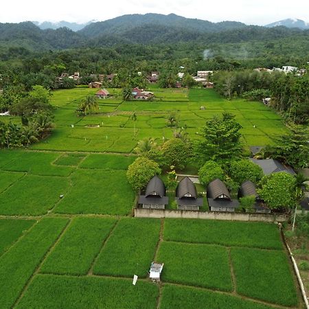 Gino'S Place - Guest House & Jungle Trekking بوكيت لاوانج المظهر الخارجي الصورة