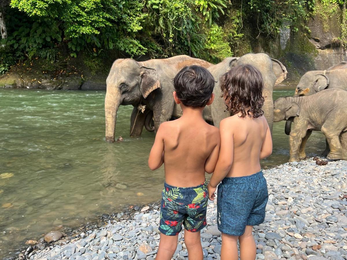 Gino'S Place - Guest House & Jungle Trekking بوكيت لاوانج المظهر الخارجي الصورة
