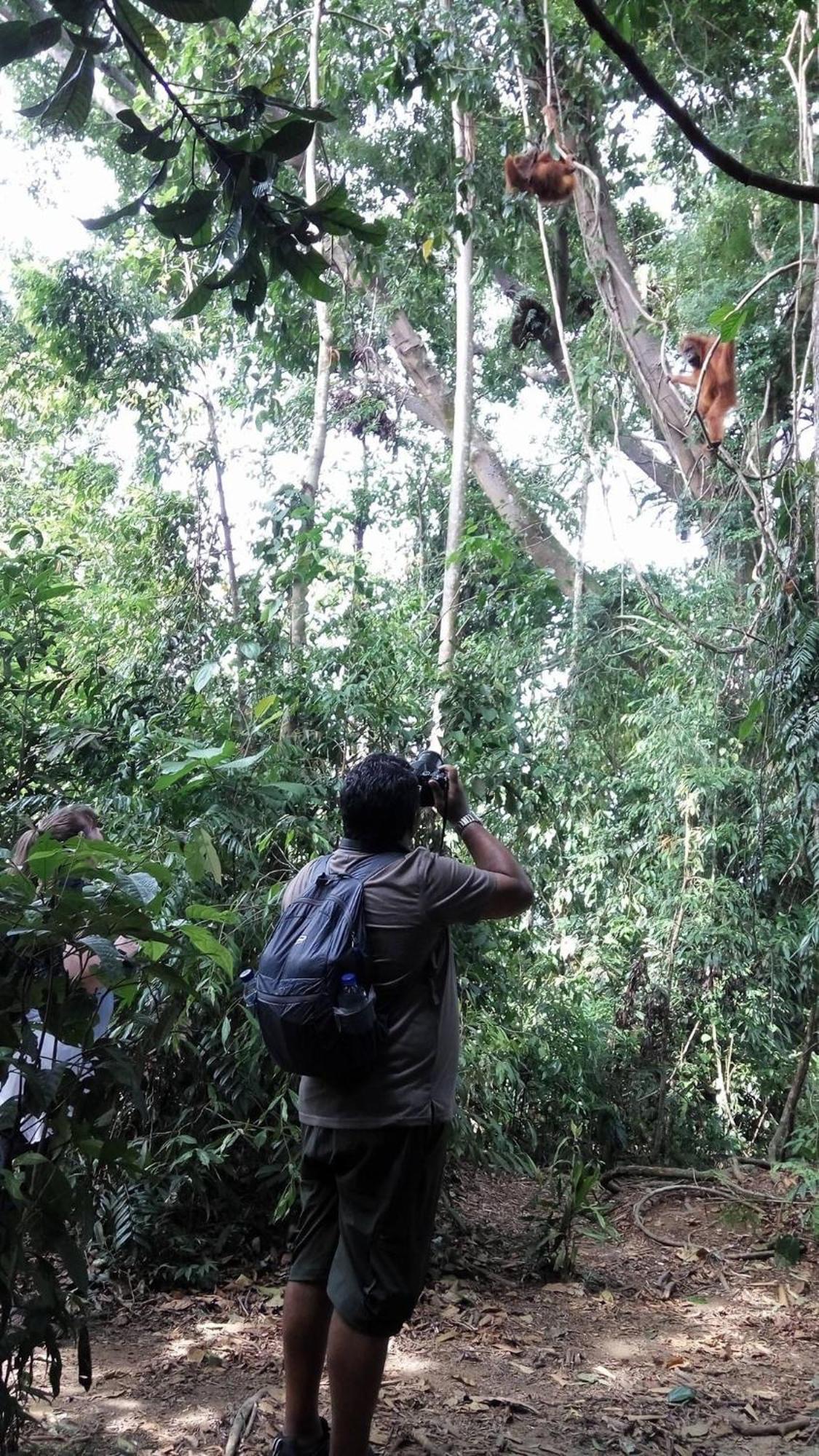 Gino'S Place - Guest House & Jungle Trekking بوكيت لاوانج المظهر الخارجي الصورة