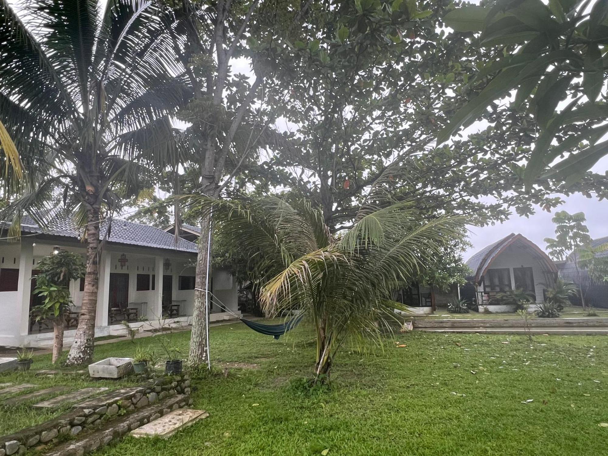 Gino'S Place - Guest House & Jungle Trekking بوكيت لاوانج المظهر الخارجي الصورة