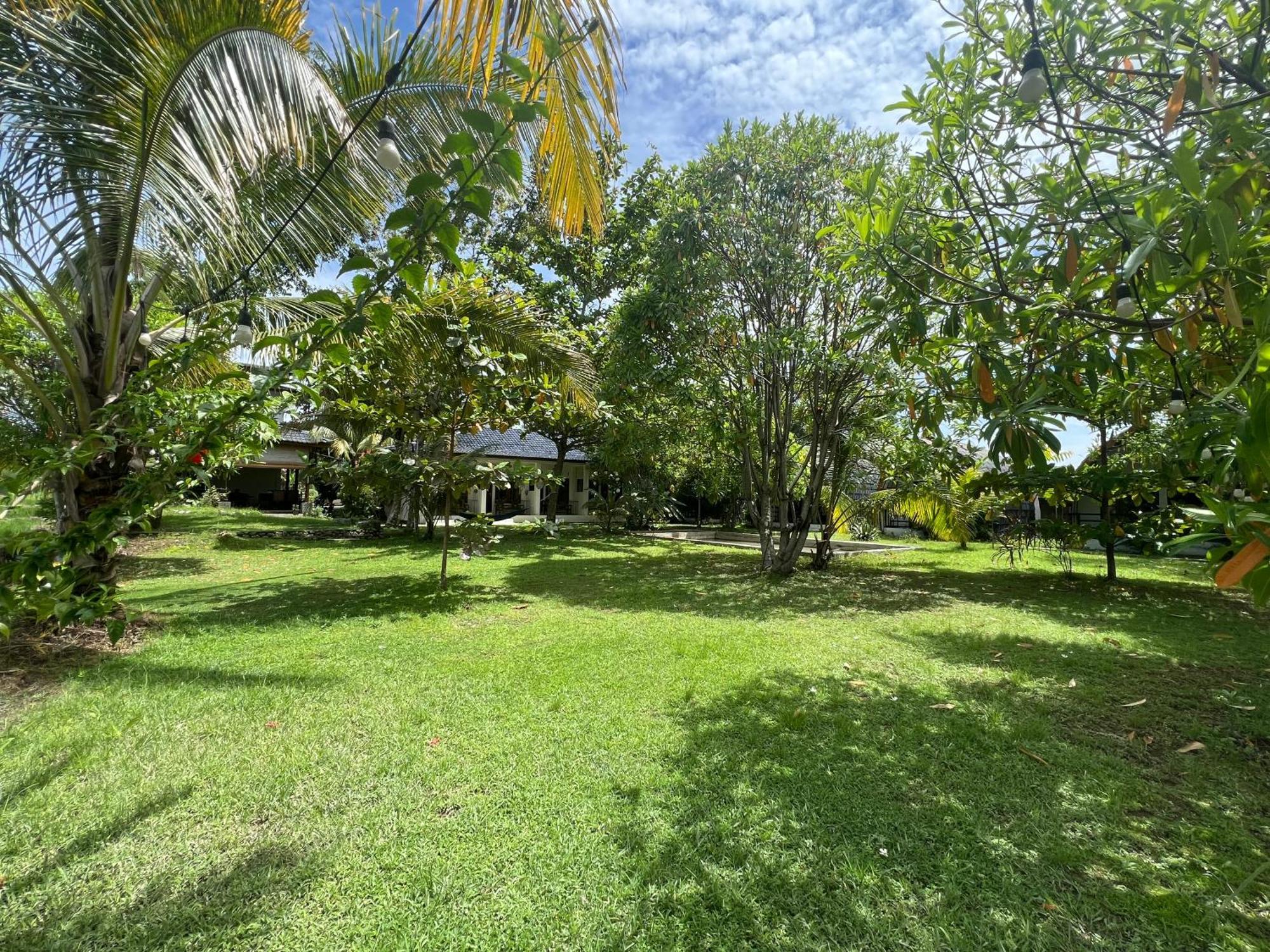 Gino'S Place - Guest House & Jungle Trekking بوكيت لاوانج المظهر الخارجي الصورة