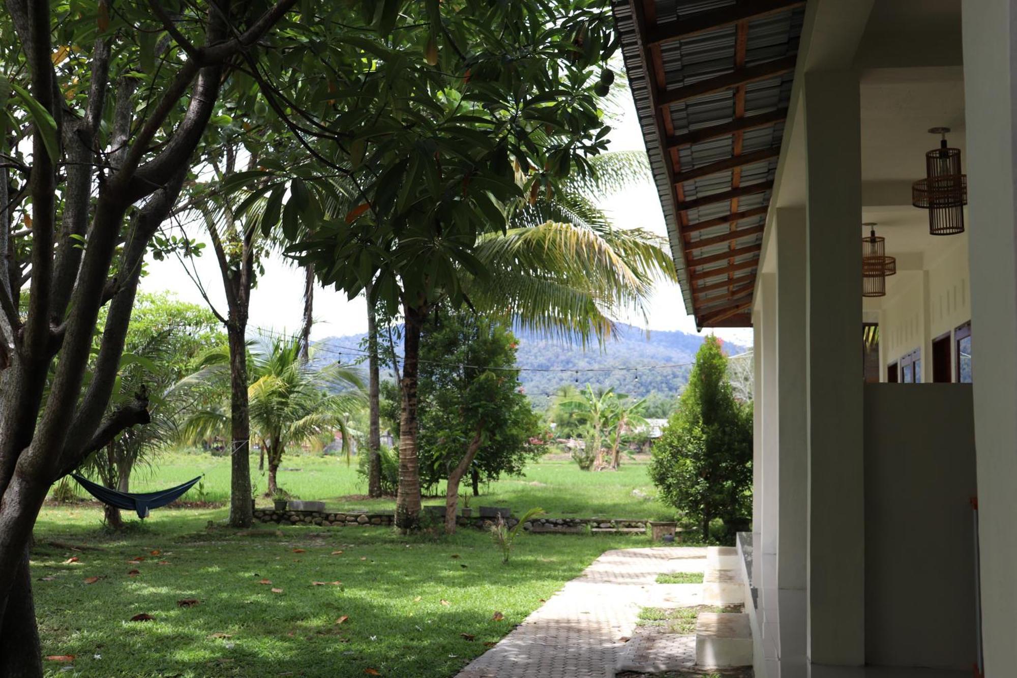 Gino'S Place - Guest House & Jungle Trekking بوكيت لاوانج المظهر الخارجي الصورة