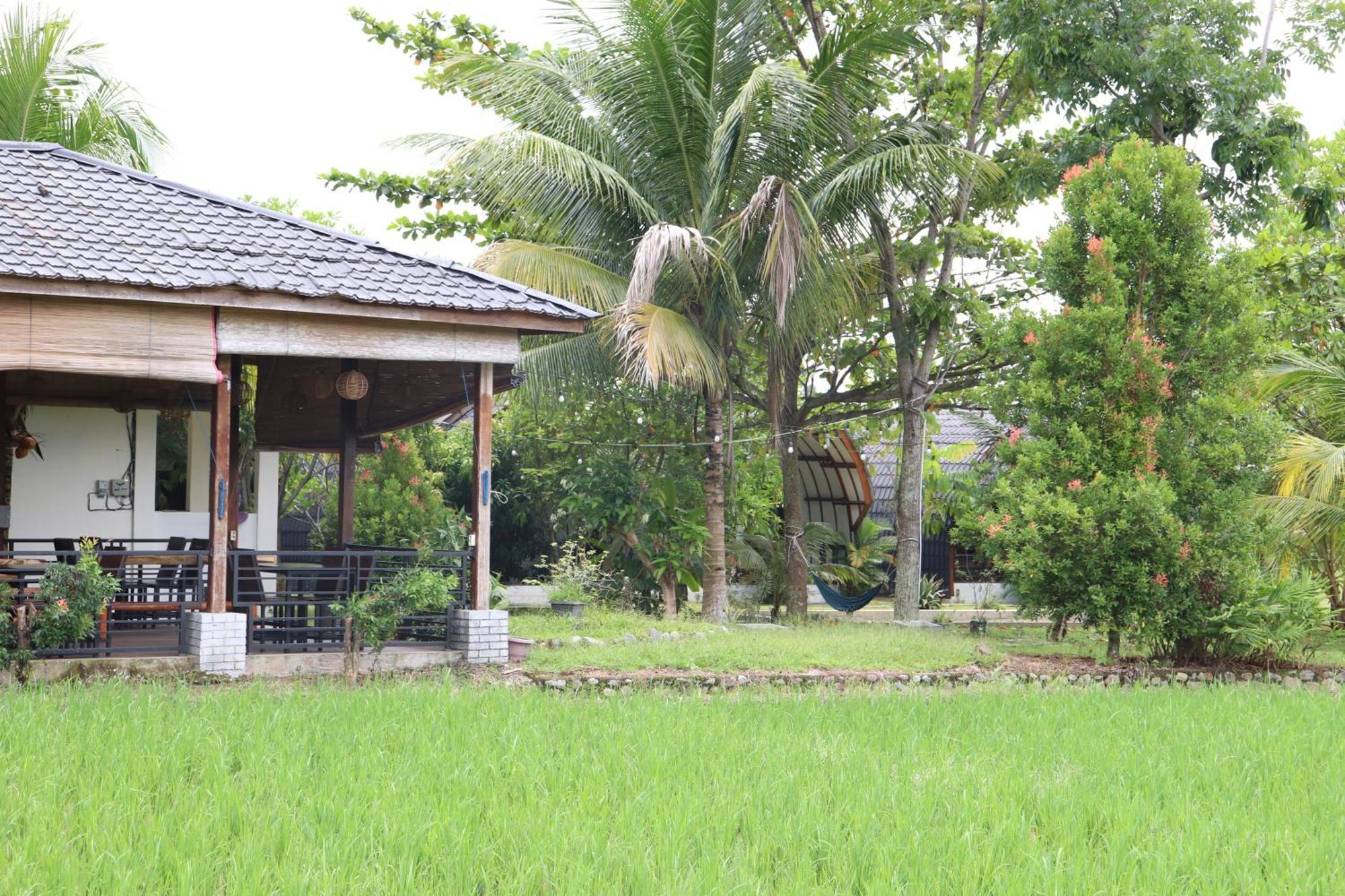 Gino'S Place - Guest House & Jungle Trekking بوكيت لاوانج المظهر الخارجي الصورة