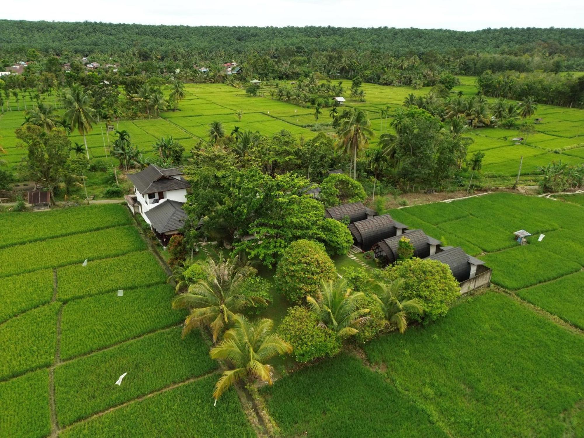 Gino'S Place - Guest House & Jungle Trekking بوكيت لاوانج المظهر الخارجي الصورة